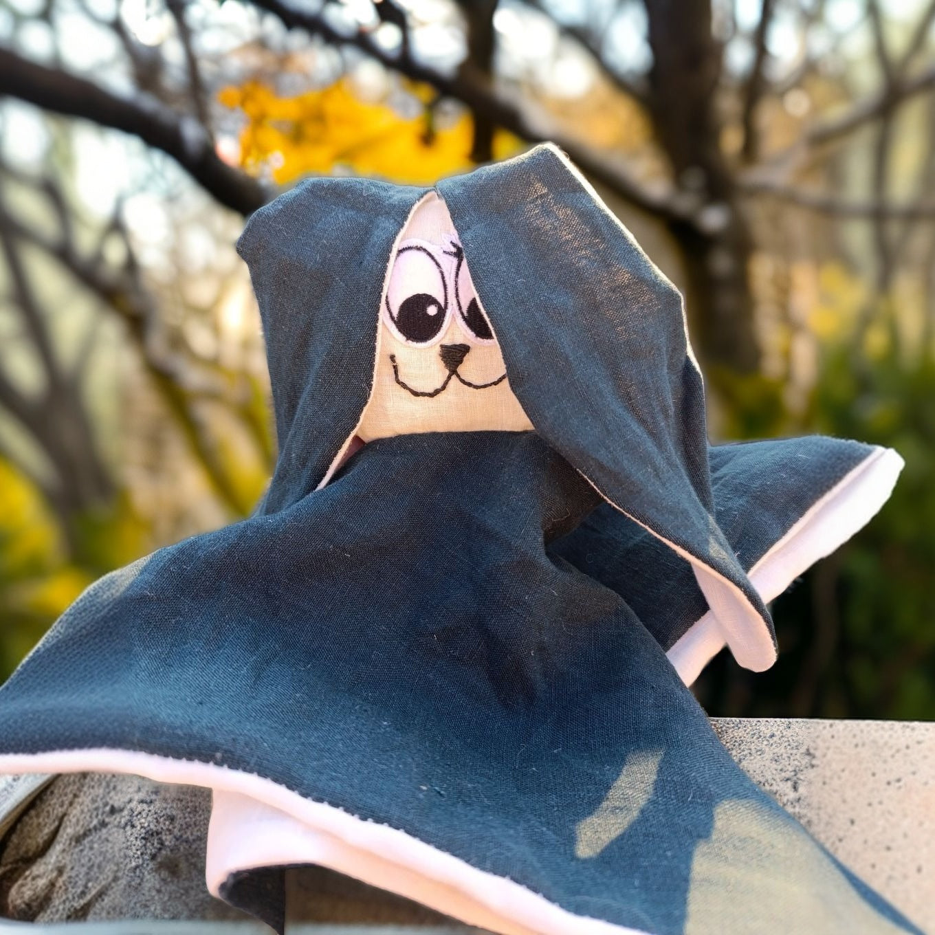Herr Kaninchen