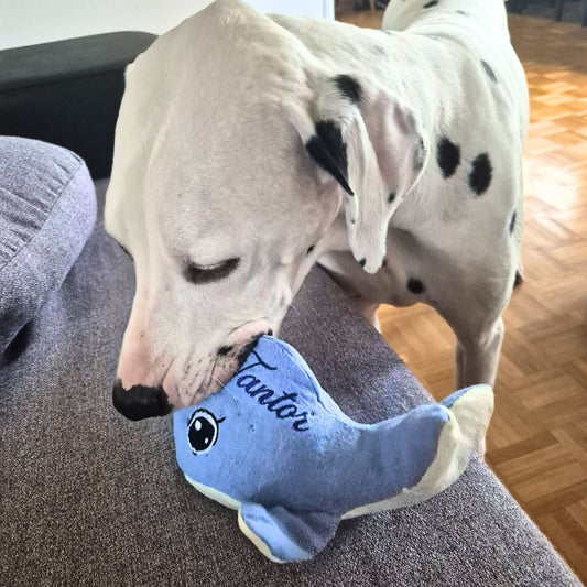 Madame Baleine