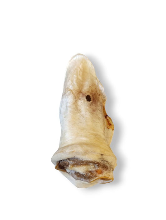 Natürliches Kalbsohr