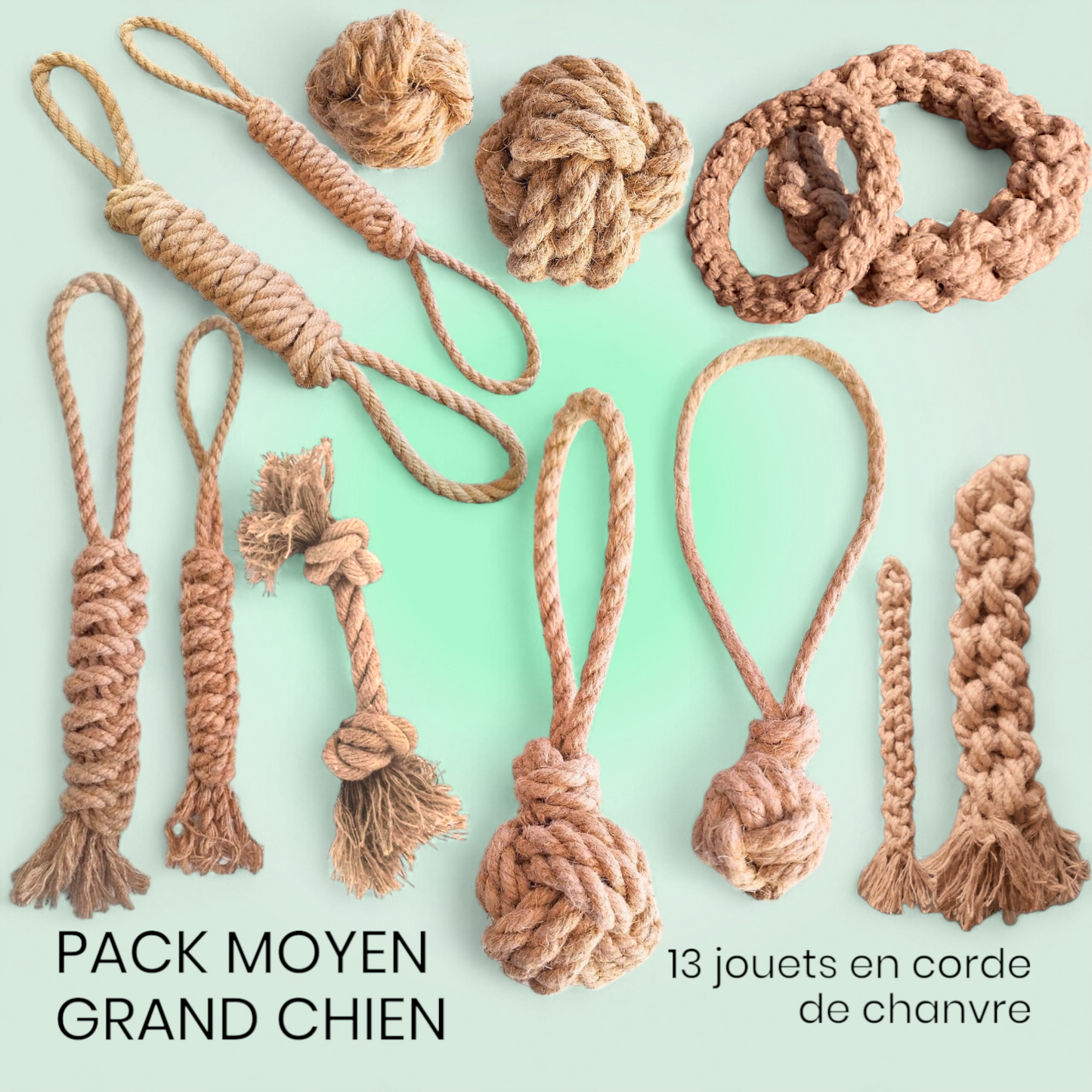 Large Medium Dog Pack (13 items)