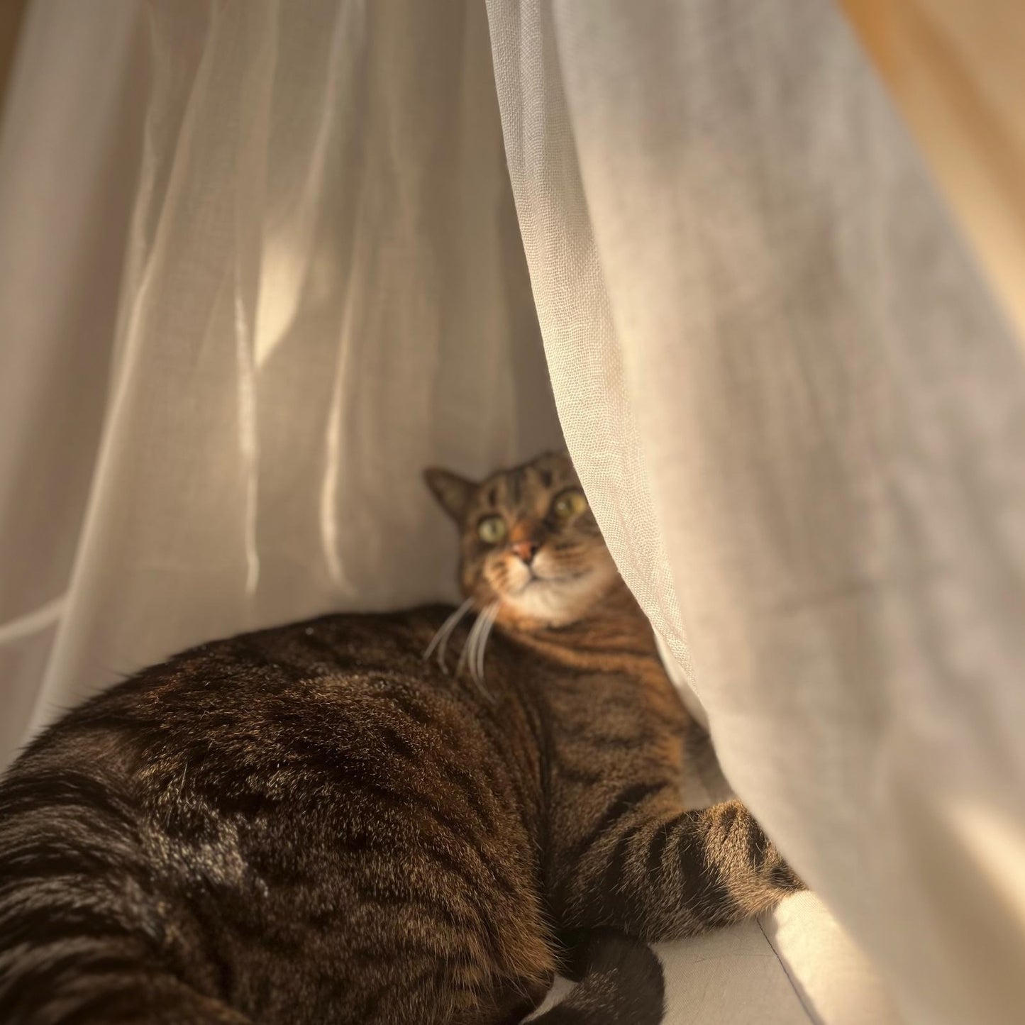 Das gemütliche Tipi