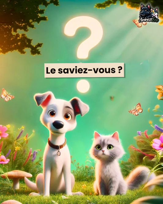 🌱 Le saviez-vous ?