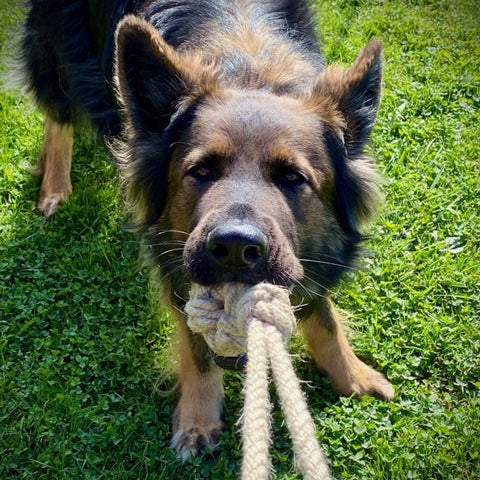 The ball with handle