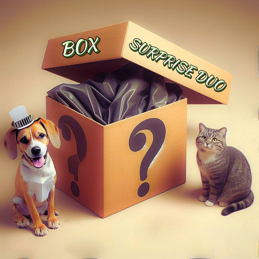 Box surprise duo