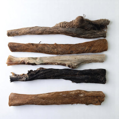 Cuir de tête de bœuf avec poils