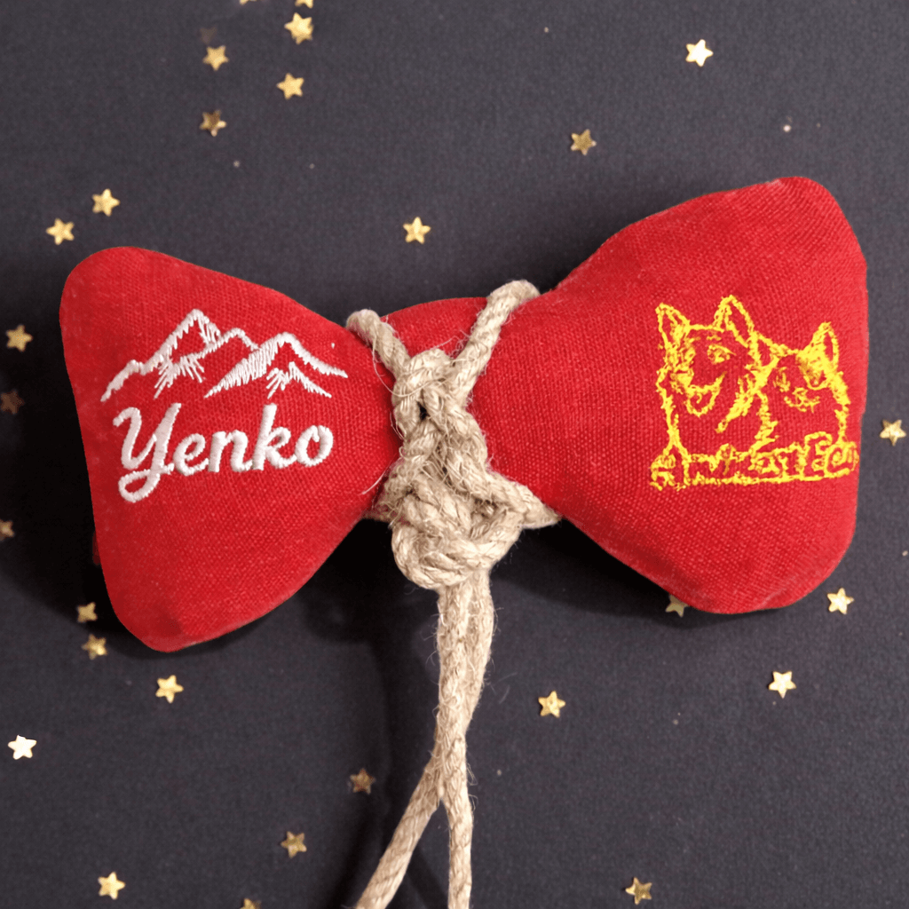 Monsieur Noeud Pap. 2026, jouet pour chien en chanvre naturel, hypoallergénique, écologique et non toxique.