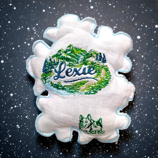 Monsieur Flocon de Neige