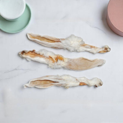 Oreille de lapin avec poils