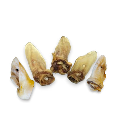 Oreille de veau naturelle