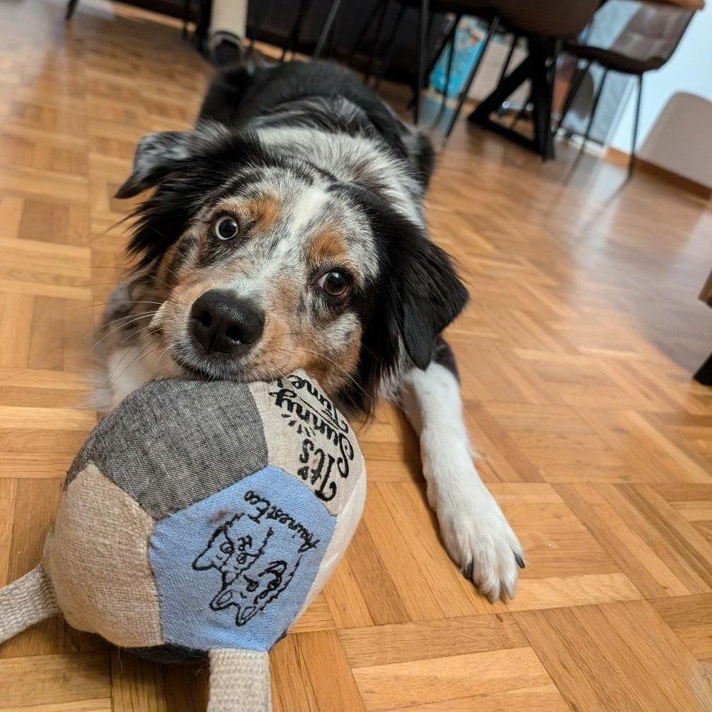 Le Dodéca