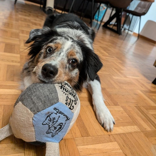 Le Dodéca