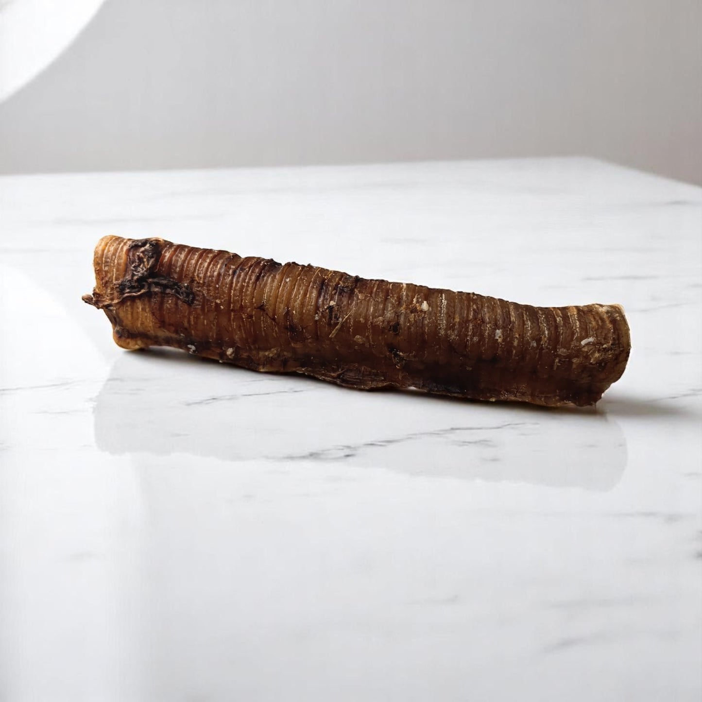 Trachée de bœuf