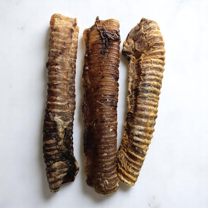Trachée de bœuf