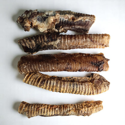 Trachée de bœuf