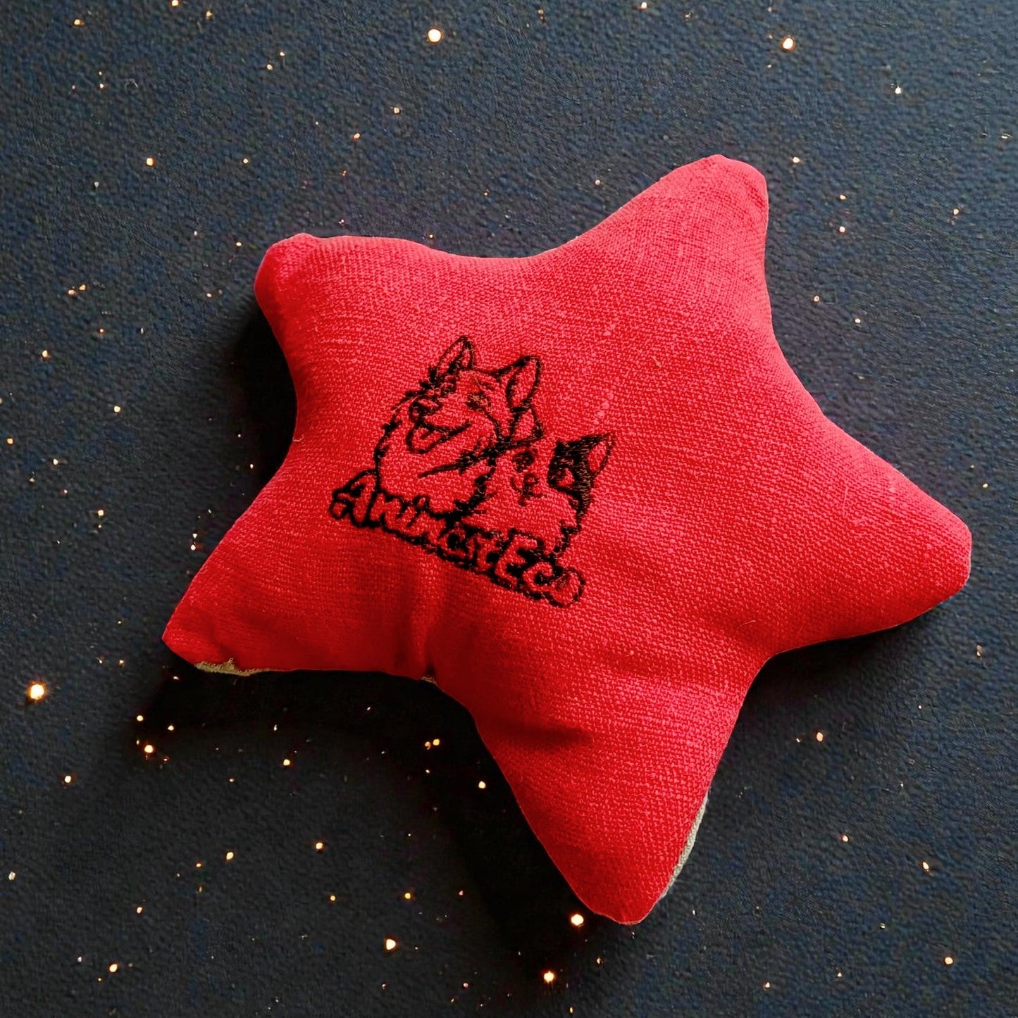 Madame Étoile de Noël