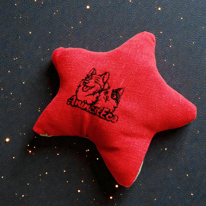 Madame Étoile de Noël