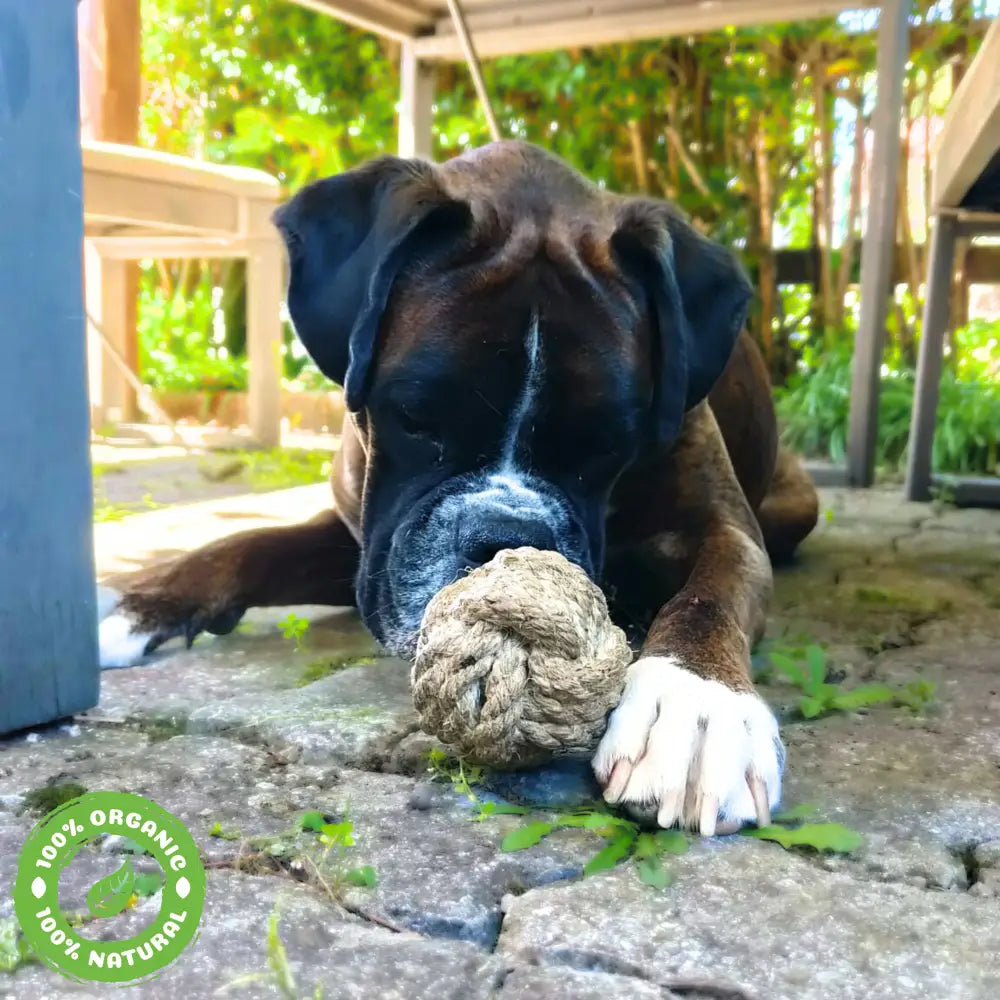 La Balle Chanvre Chat Chien