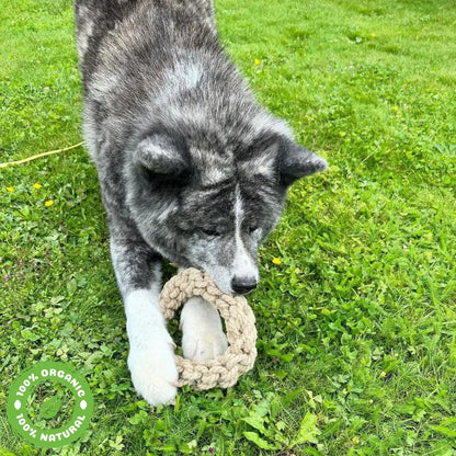 Le Scoubid-Anneau Scoubidou Anneau En Corde Pour Chien