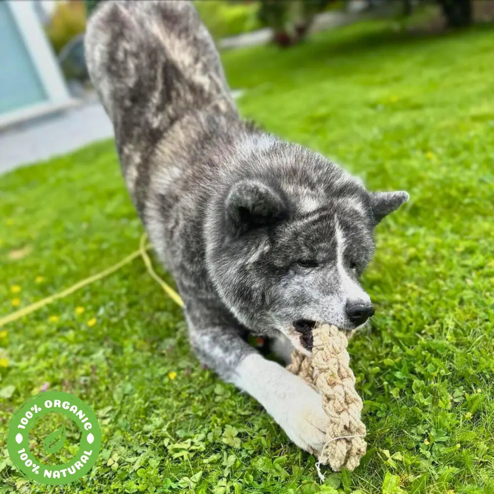 Le Scoubid-Anneau Scoubidou Anneau En Corde Pour Chien